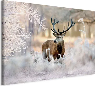 Produktbild von Vliesstoff Leinwandbild - Deer in the Cold 90x60 cm Tiere g-C-0057-b-b