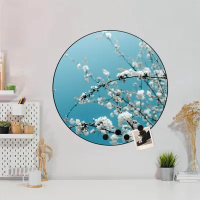 Produktbild von Design Stahlmagnettafel Schwarz Rund 47cm weiße Kirschblüten