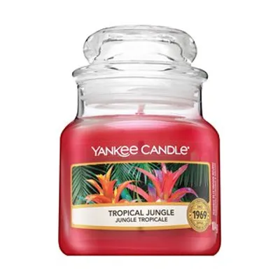 Obrázok produktu pre Yankee Candle Tropical Jungle, Kolo, Červená, Tropický, 1 kusov
