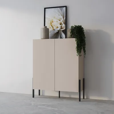 A beige two-door cabinet with black legs, decorated with a framed picture of a flower and a hanging plant.