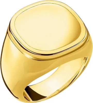 Produktbild von Thomas Sabo - TR2249-413-39-64 - Ring - Uni - 925er Silber - Rebel at Heart - Weite 64