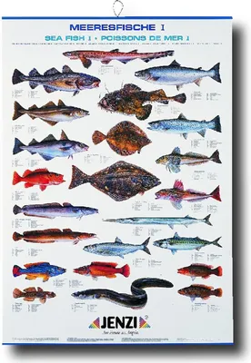 Produktbild von Jenzi Fischtafel Meeresfische 1