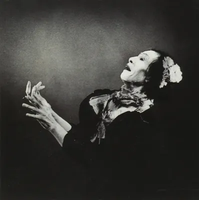 Produktbild von Antony And The Johnsons-The Crying Light