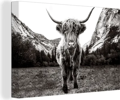 Produktbild von OneMillionCanvasses® - Leinwandbilder - 150x100 cm, Berg - Schwarz - Weiß - Schottisches Hochlandrind, Wandbilder Wohnzimmer Hochland Rind - Tier Wanddekoration - Hochland Rind - Kuh - Gemälde auf
