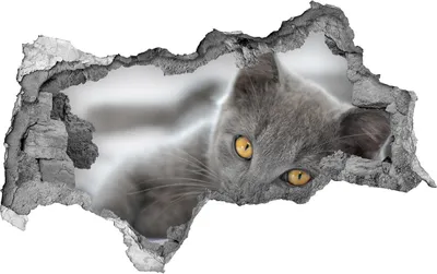Produktbild von Selbstklebender Loch-3D-Aufkleber 95x73 cm graue Katze
