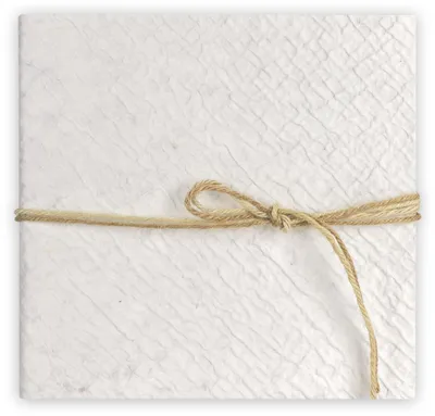 Image de Album photo ZEP Meryl V, format 23x23 cm, avec 20 pages blanches