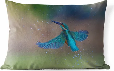 Produktbild von MuchoWow® Outdoor Kissen - Eisvogel - Fliegen - Blau - 60x40 cm - Wetterfest - Lounge Kissen - Zierkissen - Kissen für Innenräume