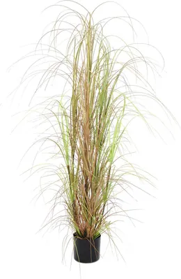 Produktbild von artplants.de Deko Schilfgras, grün-braun, 150cm - Deko Gras - Grasbusch künstlich