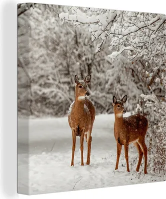 Produktbild von MuchoWow® - Leinwandbilder - Hirsche - Schnee - Bäume, Wandbild, Wanddeko Bilder Wohnzimmer, 20x20 cm