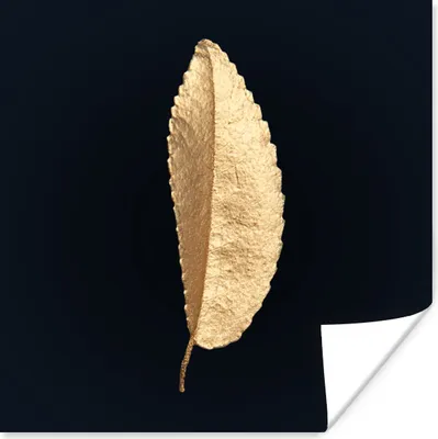 Produktbild von MuchoWow® Poster Blätter - Schwarz und Gold - Luxus - Chic - Natur 50x50 cm - Wohnzimmerdekoration