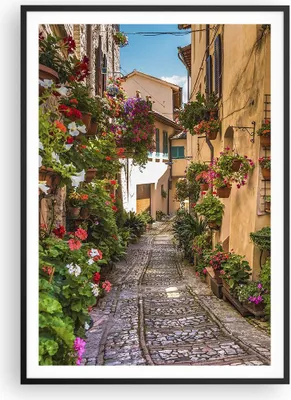 Produktbild von Gerahmtes Poster - Schwarzer Rahmen - Path Blumen Haus Hof - 70x100 cm - Wand Bild - Wanddeko - Wandbilder - Kunstposter - Wandposter - Bilderrahmen - Bilder - Kunstdruck - Wandbild - P2BPA70x100-3183
