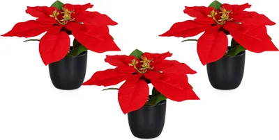 Three artificial poinsettia plants in black pots are arranged in a triangular formation against a white background.