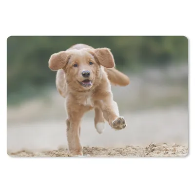 Produktbild von MuchoWow® Mauspad Mousepad Ein Golden Retriever Welpe 27x18 cm - Mousepads - Maus Mat - Pad - Mausunterlage - Büroartikel - Desk Matten