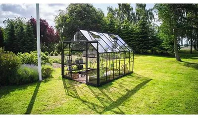 Produktbild von Gewächshaus Halls Icon 8 9,7 m² Sicherheitsglas 3 mm 254,7 x 379,1 cm schwarz