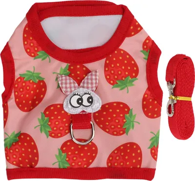 Obrázek produktu pro Oblečení pro domácího mazlíčka králíčka, vesta pro malá zvířata s tažným pásem pro křečka Totoro, zlatého medvídka, králíka