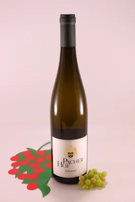 Immagine prodotto di Sylvaner della Valle Isarco - 2024 - Cantina Pacherhof