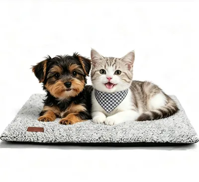 Produktbild von Heizdecke für Katze und Hund – Selbstheizend – Benötigt keinen Strom – Geräuschlos – Rutschfest – 74 x 48 cm