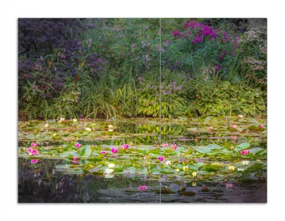 Produktbild von Wallario Herdabdeckplatte aus Glas, Größe 70 x 52 cm 2-teilig, Motiv Blühender Seerosenteppich