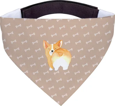Produktbild von Mr. & Mrs. Panda Hundehalstuch Corgi Po - Hundeglück - Geschenk, Hund, Spruch, Tuch für Hunde, Halstuch, Selbstliebe, Süß, Sprüche