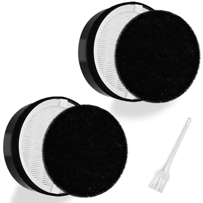 Image de Filtres de remplacement pour purificateur d'air - H13 et charbon actif - Lot de 2