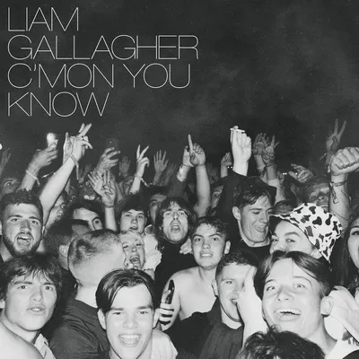 Productafbeelding van Liam Gallagher: C'Mon You Know - (LP / C)