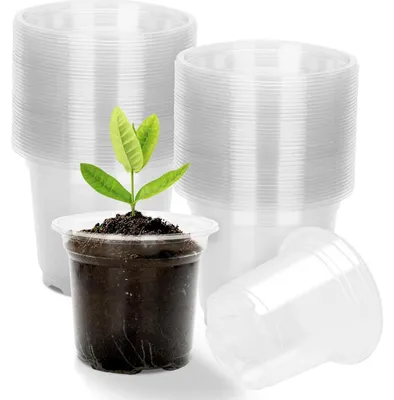 Immagine prodotto di Vasi per la germinazione, vasi trasparenti da 10 cm, set da 36, in plastica