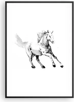 Produktbild von Gerahmtes Poster - Schwarzer Rahmen - Pferd Galopp Tier - 70x100 cm - Wand Bild - Wanddeko - Wandbilder - Kunstposter - Wandposter - Bilderrahmen - Bilder - Kunstdruck - P2BPA70x100-5117
