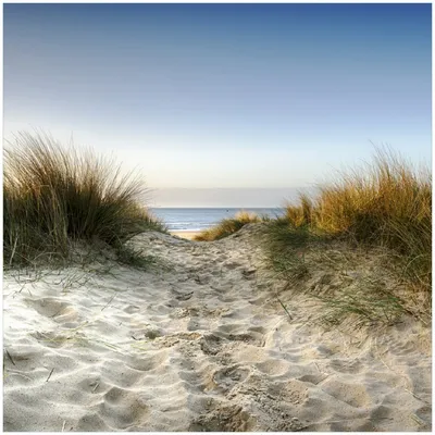 Produktbild von Wallario Premium Glasbild, freischwebende Optik, kräftige Farben, Größe 30 x 30 cm Motiv Weg durch die Dünen zum Strand am Meer
