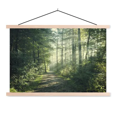 Produktbild von MuchoWow® Textilposter Wald - Weg - Sonne - Bäume - Grün - Natur 60x40 cm mit holzfarbenen Rahmen - Bilder