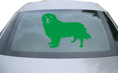 Produktbild von Indigos UG - Aufkleber Heckscheibe & Motorklappe DE7052 - grün - 600x415 mm - Retriever Hunderasse - Auto Scheiben Fenster Heckklappe Tuning Racing JDM - Die cut