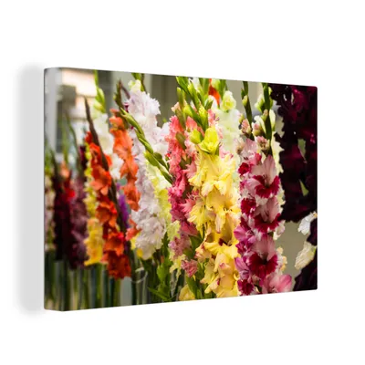 Obrázok produktu pre OneMillionCanvasses® - Maľba na plátne - Obraz na plátne Nástenná maľba na plátne - Gladioly - Kvety - Farby - 150x100cm - Fotografia na plátne -