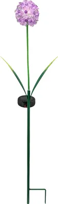 Image de Fiche solaire Allium 1 fleur lilas