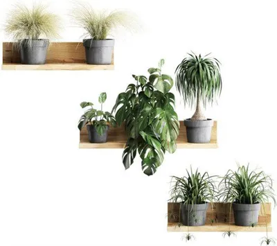 Produktbild von 3D Wandaufkleber, Entfernbarer Bonsai Wandaufkleber, Kreative Wanddeko