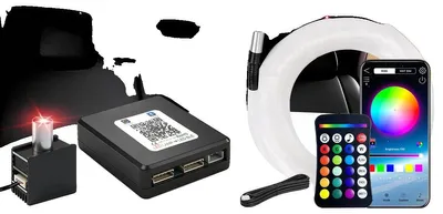 Immagine prodotto di Fibra ottica, vasta gamma di colori RGBW, controllo tramite telecomando, RGBW-c, 1-1 300 pezzi 0,5 mm 2 m