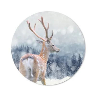 Produktbild von MuchoWow® Mauspad Mousepad Winter - Hirsche - Tiere 40x40 cm - Mousepads - Maus Mat - Pad - Mausunterlage - Schreibtisch Accessoires