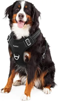 Produktbild von Funfox Hundegeschirr NO PULL Grosse Hunde Sicherheitsgeschirr Schwarz XL