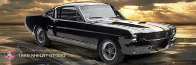 Immagine prodotto di Ford - Slim-Poster - Shelby GT 350
