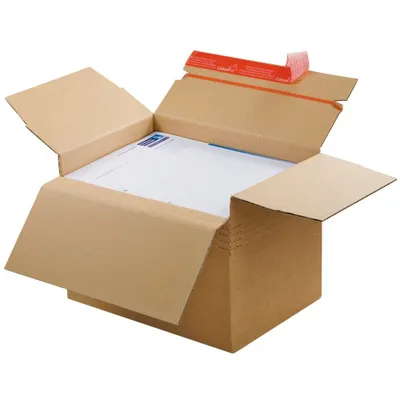 Produktbild von Dinkhauser Versandkartons Blitzbodenkartons 31.2 x 22.3 14.0 - 22.4 cm 10 St.
