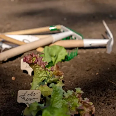 Image de Pack outils de jardin