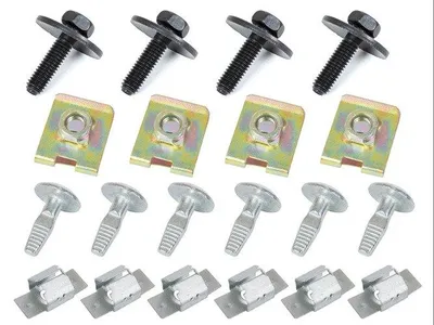 Für Citroen C5 I II III Peugeot 407 Unterfahrschutz Motor Befestigung Clips SET in der Farbe von GOLDCAR