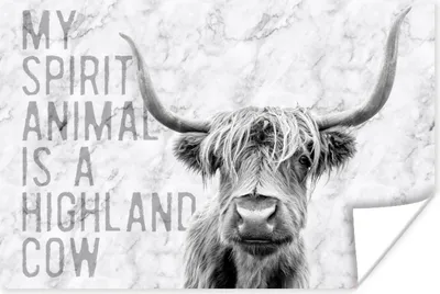 Produktbild von MuchoWow® Poster Marmor - Schottischer Highlander - Zitat 180x120 cm - Fotoplakat
