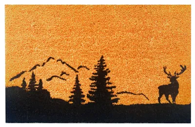 Produktbild von Relaxdays Fußmatte Kokos 60x40, Türvorleger Landschaft, rutschfest, wetterfest, Fußabstreifer innen & außen, natur
