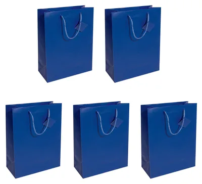 Obrázek produktu pro SIGEL GT503 5 SIGEL Geschenktaschen blau 26,0 x 33,0 cm