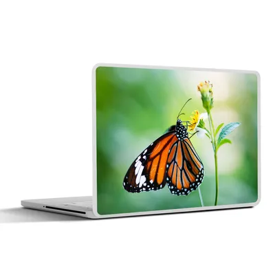 Produktbild von MuchoWow® Laptop Aufkleber Sticker Cover Schmetterling - Blumen - Insekten 30x22 cm - Laptop-Sticker