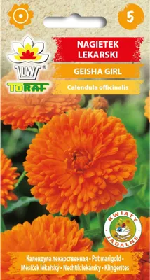 Obrázek produktu pro Měsíček lékařský GEISHA GIRL 1g