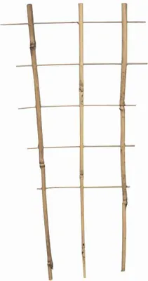 Image de SIENA GARDEN Treillis en bambou 30cm 30x17x8cm
