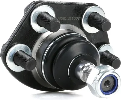 Produktbild von RIDEX Traggelenk Vorne Unten für FORD Fiesta Mk5 Schrägheck (JH1, JD1, JH3, JD3) 2462S0093