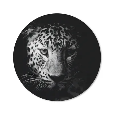 Produktbild von MuchoWow® Mauspad Mousepad Panther - Wildtiere - Schwarz und weiß - Tiere 20x20 cm - Mousepads - Maus Mat - Pad - Mausunterlage - Schreibtischmatte