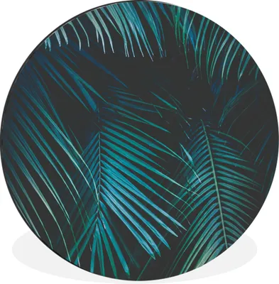 Produktbild von MuchoWow® Aluminium Wandkreis Palme - Palmenbaum - Tropisch Ø 60 cm Wanddeko Modern Wohnzimmer - Wand Kreis - Wandbild - Schlafzimmer - Aluminium Bild - Kinderzimmer - Wohnzimmer Dekoration - Wandschmuck