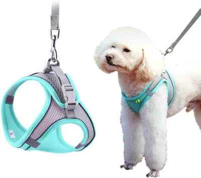 Immagine prodotto di Imbracatura per cani traspirante con guinzaglio di sicurezza regolabile